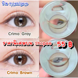 ส่งด่วนทุกวัน‼️คอนแทคเลนส์ รุ่น Crimo (Mini Primo) สี Brown / Gray - Gaezz Secret ขนาดมินิ