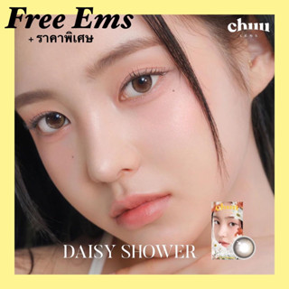 [ส่งฟรีEMS] Daisy Shower : Pure Brown🌼 เลนส์เกาหลีรายเดือน | ทักแชทก่อนกดสั่งซื้อ‼️