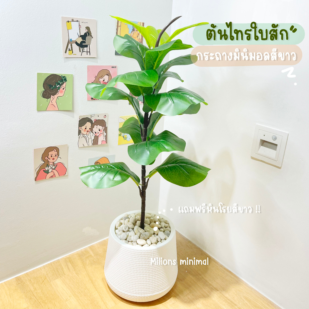 ต้นไม้ปลอม ราคาถูกที่สุด  ต้นไทรสัก ต้นมอนสเตอล่า พร้อมกระถางมินิมอล กระถาง 5 นิ้ว ตกแต่งบ้านมินิมอล