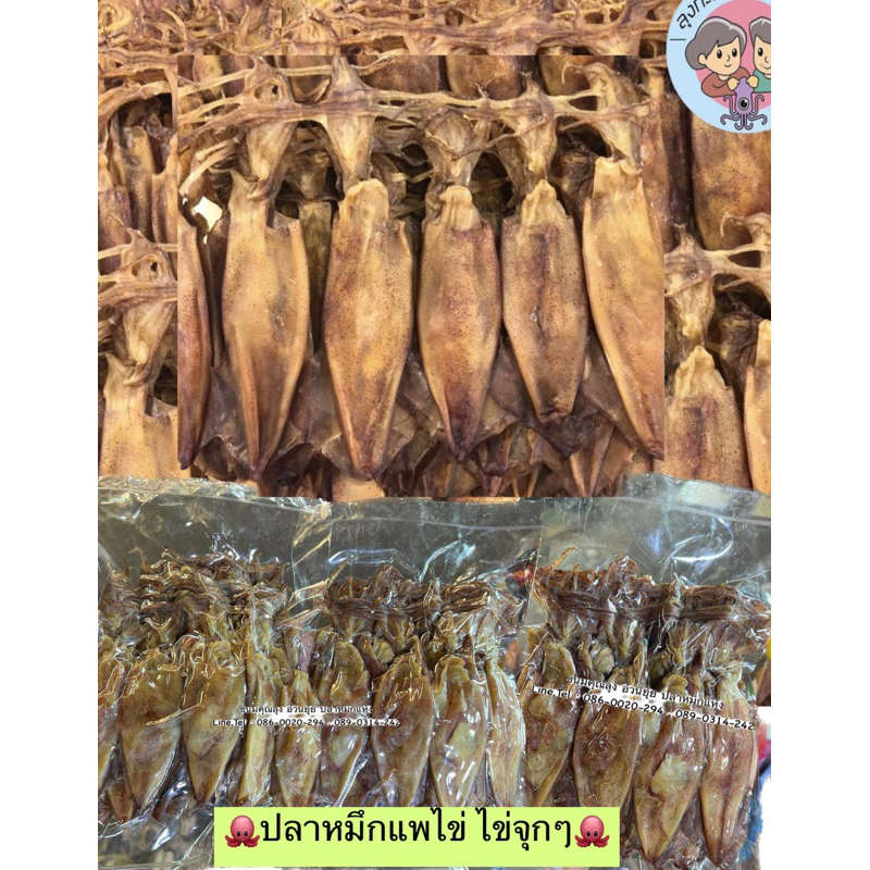 ปลาหมึกแพไข่ ไข่จุกๆแน่นๆเต็มคำ หมึกกล้วยไข่ ของทะเลอบแห้งไม่เค็ม รสชาติกำลังดี มี 3 ขนาด 100 กรัม 300 กรัม และ 500 กรัม