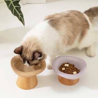 ชามอาหารสัตว์เลี้ยง Ice cream Pet Bowl - Huakou