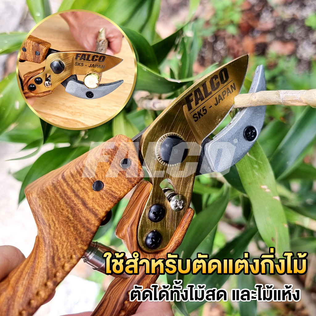 Falco กรรไกรตัดกิ่งลายไม้ SK5-JAPAN กรรไกรตัดกิ่ง กรรไกรแต่งกิ่ง 8 นิ้ว กรรไกรตัดแต่งกิ่งไม้ กันไกรตัดกิ่งไม้ Falco SK5 - รูปที่ 2