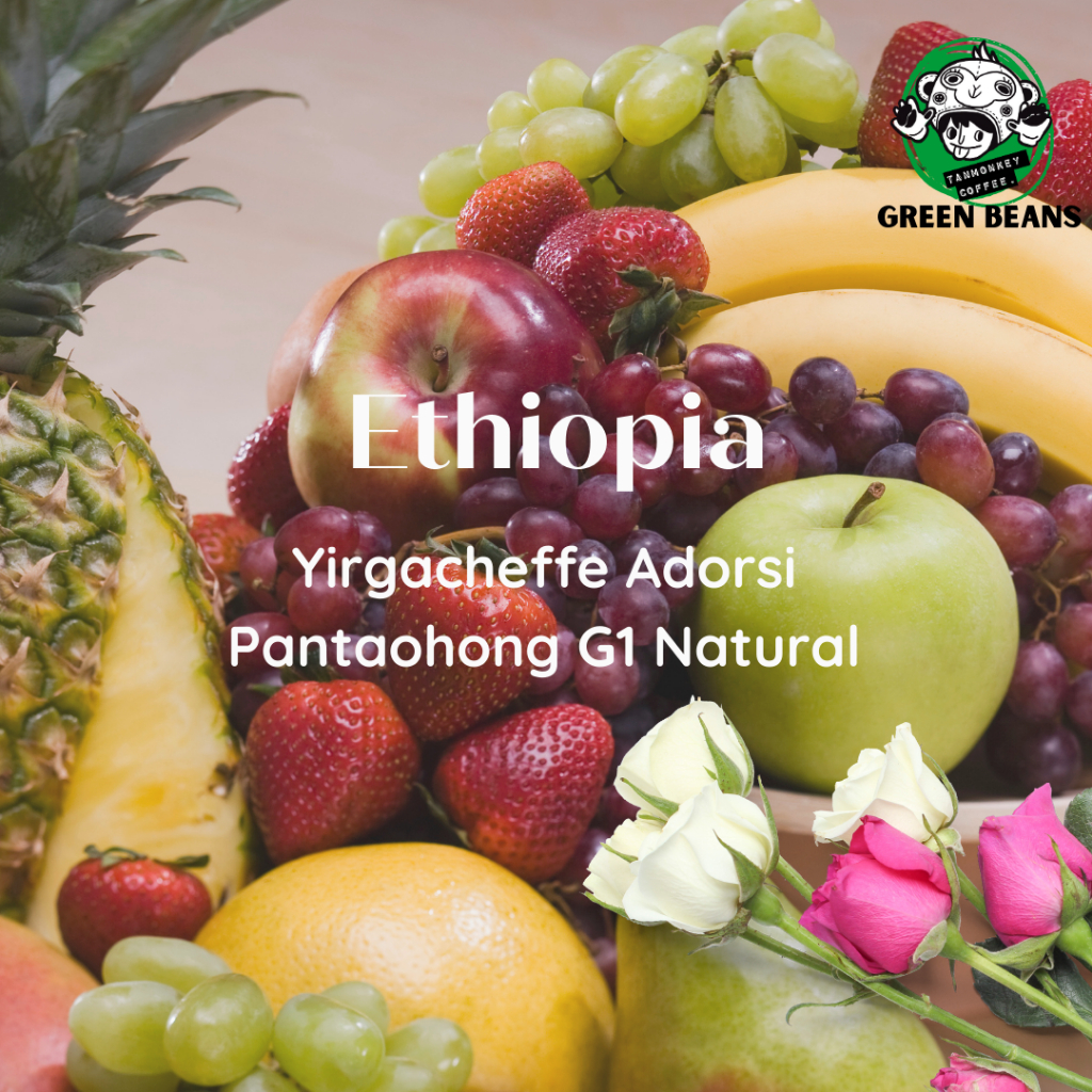 สารเมล็ดกาแฟ Ethiopia Yirgacheffe Adorsi Pantaohong G1 Natural