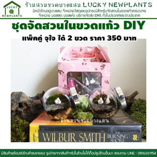 DIY สวนขวด สวนในขวดแก้ว วัสดุอุปกรณ์พร้อมจัด แพ็คคู่ 2 ขวด