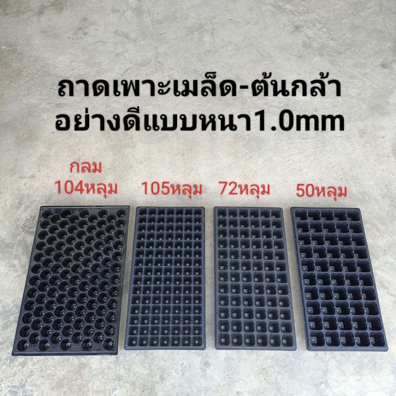 ถาดเพาะเมล็ด ถาดเพาะกล้า ถาดปลูก แผงเพาะต้นกล้า