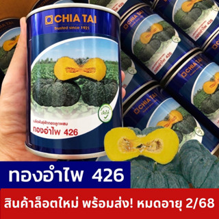 หมดอายุ2/68 ทองอำไพ 426 กระป๋องสีน้ำเงิน รุ่นใหม่จ้า! เมล็ดพันธุ์ฟักทอง 100กรัม