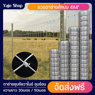 จัดส่งฟรี ยกม้วน30/50เมตร รั้วตาข่ายถักปม ช่องตา4x4นิ้ว ลวดตาข่าย ตาข่ายเหล็ก ตะแกรงเหล็ก ตาข่ายล้อมรั้วเหล็ก รั้วตาข่าย