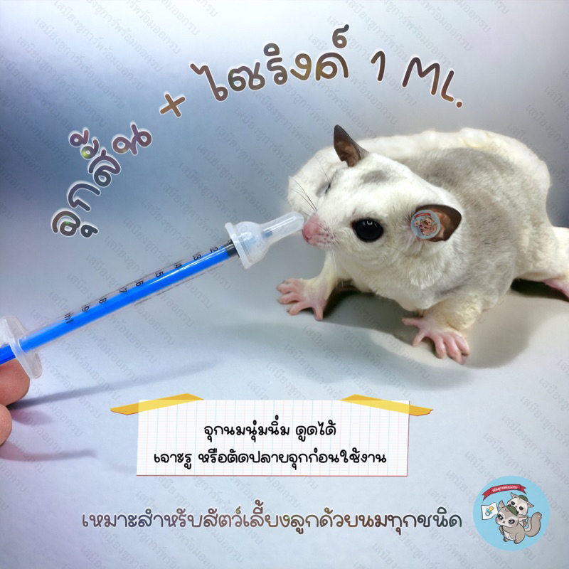 V ( ชุดป้อนนมจุกสั้นสีใส + ไซริงค์ 1มล. ) SHORT จุกนมลูกแมว จุกนมชูการ์ จุกนมลูกสุนัข ไซริงค์ ขวดนม