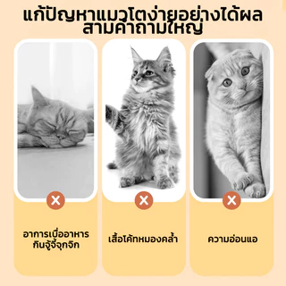 อกไก่ฟรีซดราย ขนมแมว อกไก่แมว ขนมแมวฟรีซดราย อกไก่ ขนมโปรตีน ฟรีซดราย 100% ขนมโปรตีน ไก่ฟรีซดราย Freeze Dried แมว