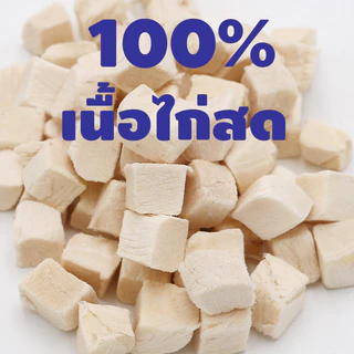 อกไก่ฟรีซดราย ขนมแมว อกไก่แมว ขนมแมวฟรีซดราย อกไก่ ขนมโปรตีน ฟรีซดราย 100% ขนมโปรตีน ไก่ฟรีซดราย Freeze Dried แมว