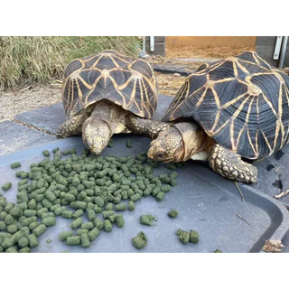 Happy tortoise อาหารเต่าบก สูตรปกติ ถุงโรงงานสีเขียว/ถุงใส พร้อมส่ง มีของแถมทุกออเดอร์