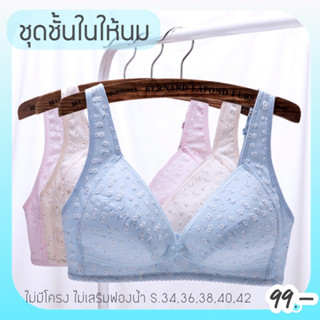 ชุดชั้นในให้นม ไร้โครง(B005)