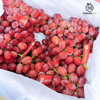 ส่งฟรี‼️สินค้าเข้าใหม่ 17/8/69‼️ Sweet Scarlet Grape 🍇🇨🇳 องุ่นแดงไร้เมล็ดลิ้นจี่กล่องแดงนกแก้ว🛳️