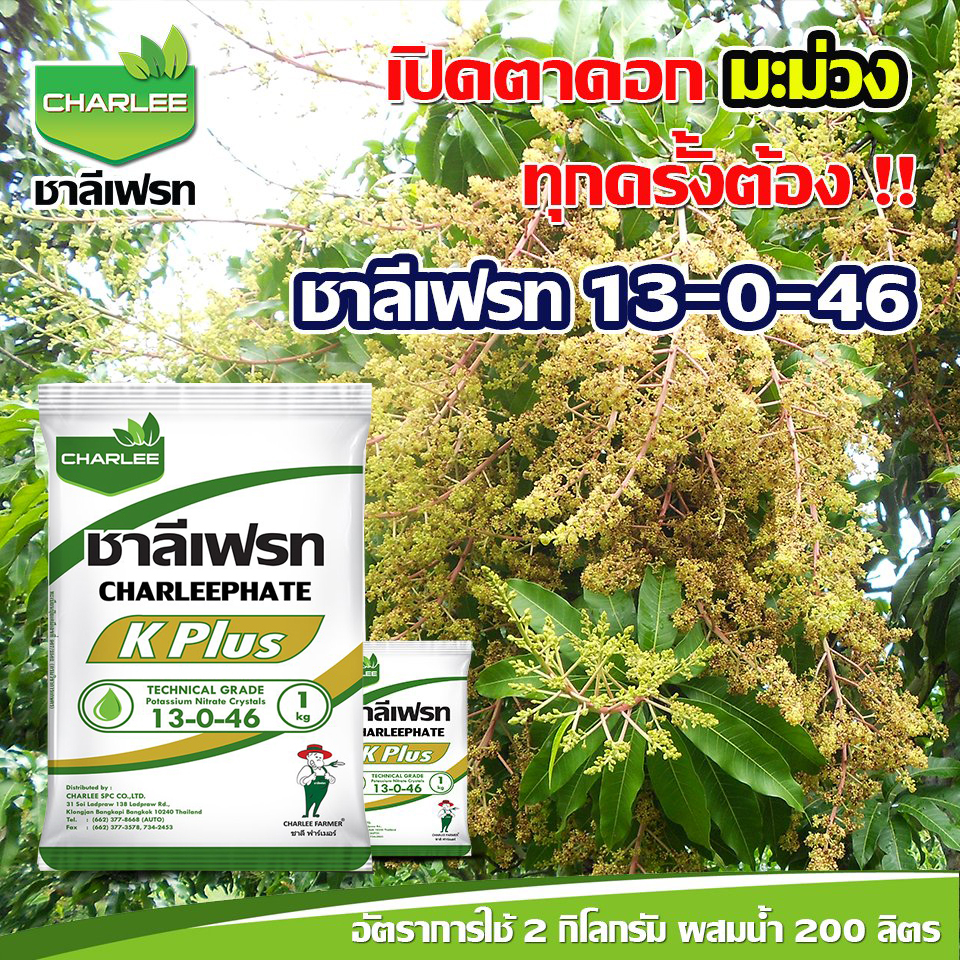 13-0-46 K-PLUS (โพแทสเซียมไนเตรท)ฉีดพ่นในระยะตาดอกเริ่มเต่งเพื่อกระตุ้นการแตกตาดอกทำให้ออกดอกพร้อมกัน เพิ่มความหวาน ราคา ถูกที่สุด ดีลบีเคเค รูปภาพหลัก