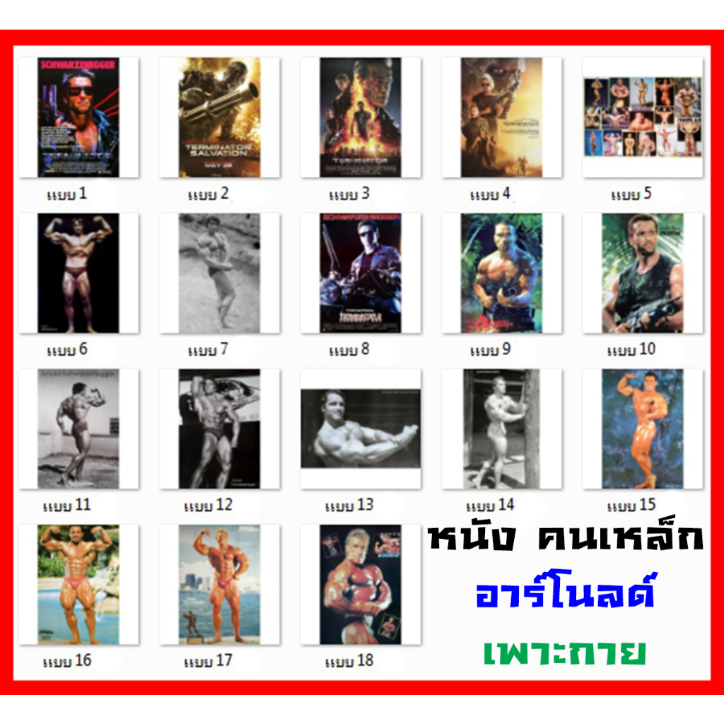 โปสเตอร์ อาร์โนลด์ หนัง Terminator คนเหล็ก เพาะกาย กีฬา (18แบบ) อาโน รูป ภาพ ติดผนัง poster 88x60ซม.และ76x52ซม.โดยประมาณ