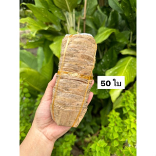 แถวละ 50 ใบ📌กระทงใบตองแห้งราคาถูก 50 บาท