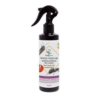 สเปรย์ไล่แมลงสูตรเข้มข้น KIENGMOOL 240 มล. ANT AND COCKROACHES REPELLENT SPRAY KIENGMOOL