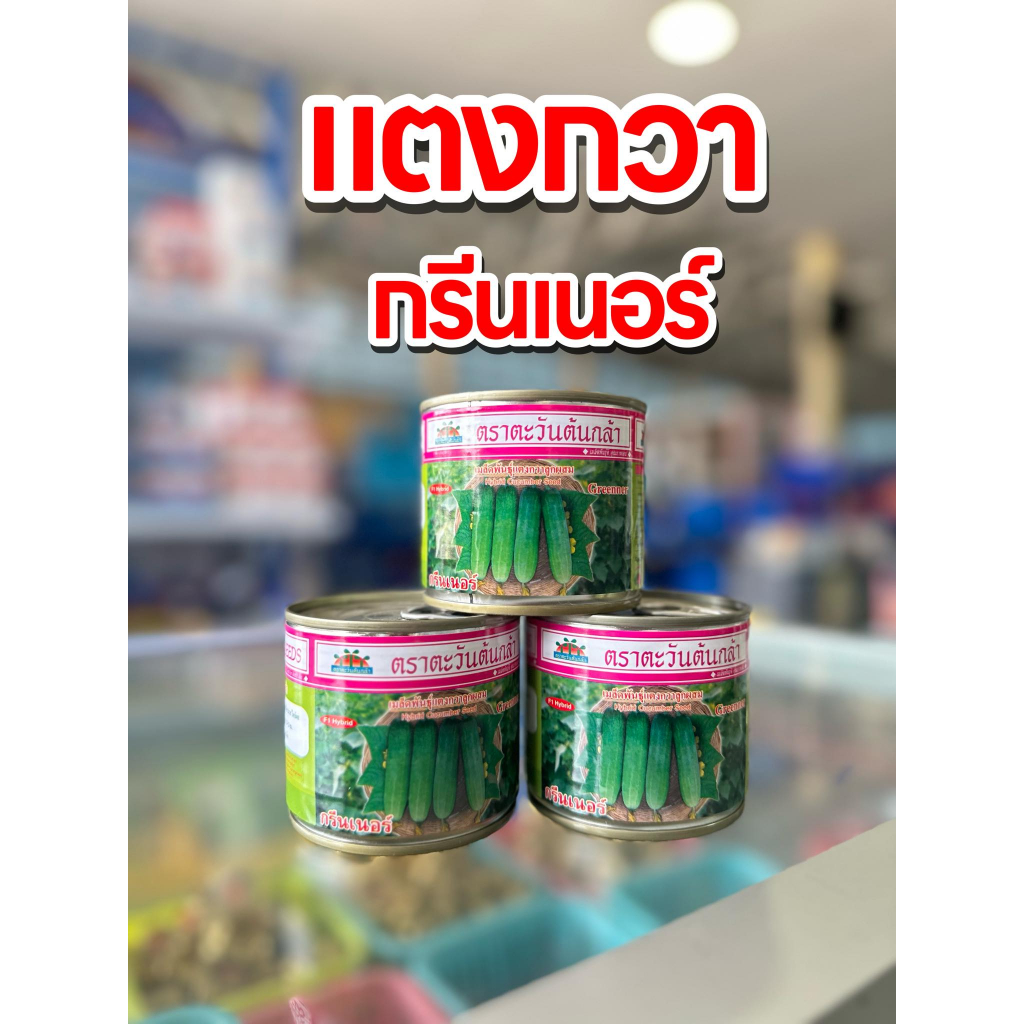 แตงกวากรีนเนอร์ ขนาด50กรัมม ลูกสั้น เปลือกเขียวสวย เมล็ดพันธุ์ แตงกวา