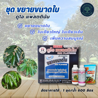 ดูโอแพลตตินั่ม ชุดขยายขนาดใบ ตราหญิงงาม อัตราการใช้ 1 ชุด ต่อน้ำ 600 ลิตร ฉีดพ่นทุก 7-10 วัน