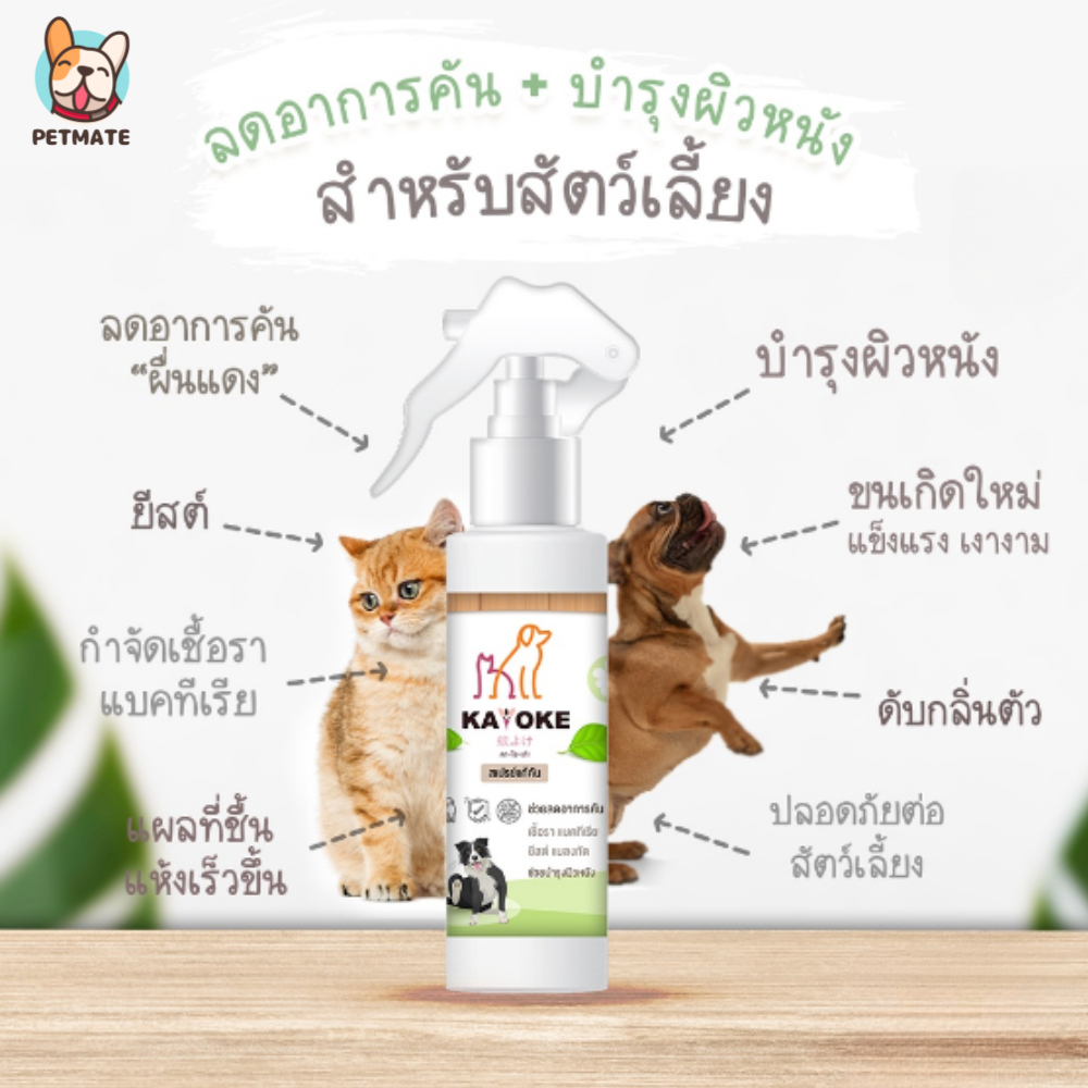 Kayoke สเปรย์ลดอาการคัน พร้อมบำรุขน สูตรอ่อนโยน ใช้สารสกัดจากธรรมชาติ สำหรับสัตว์เลี้ยง สุนัข เเมว