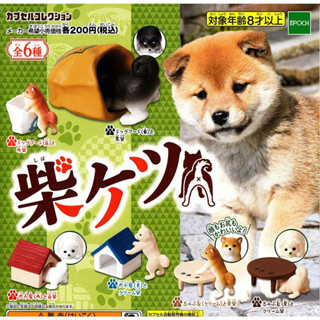 Gashapon Shiba Ketsu Collection / กาชาปองก้นชิบะ