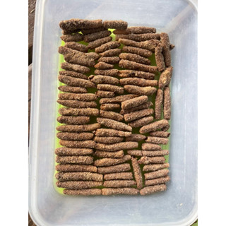 พร้อมส่ง ไข่ตั๊กแตนปาทังก้าโมจีน 20กรัม