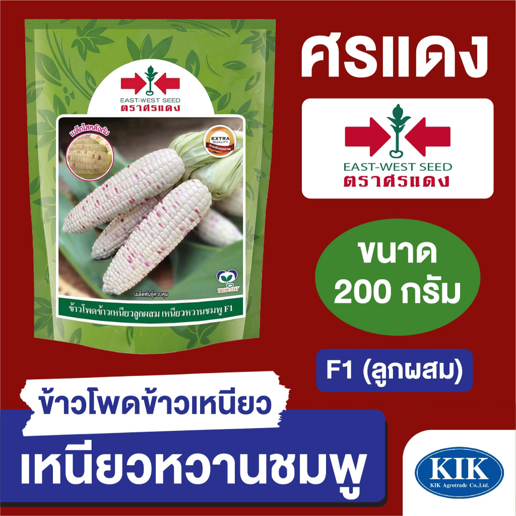 เมล็ดพันธุ์ ผักซอง ศรแดง BIG ข้าวโพดข้าวเหนียว เหนียวหวานชมพู บรรจุ 1,000 เมล็ด