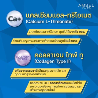 (3ขวด) Amsel Calcium L-Threonate+Collagen Type II แอมเซล แคลเซียม แอล-ทริโอเนต พลัส คอลลาเจนไทพ์ ทู (60 แคปซูล)