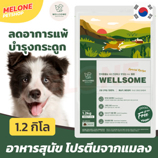 [หมดอายุ 01/2024] Wellsome Dog เวลซัม อาหารสุนัข โฮลิสติก ผลิตจาก แมลง ขนาด 1.2 กิโล