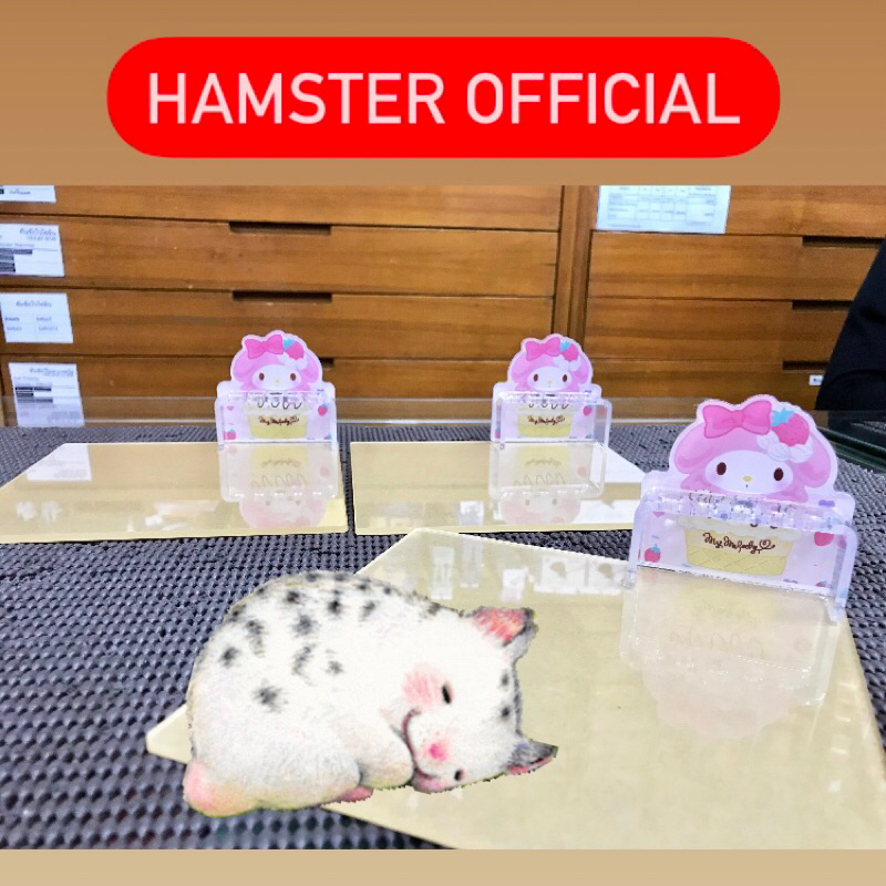 ส่งไว🥕แผ่นเย็นคลายร้อน เจลปรับอุณหภุมิ แฮมเตอร์ อะคริลิคใส ของแต่งกรง สัตว์เล็ก Hamster Official - รูปที่ 2