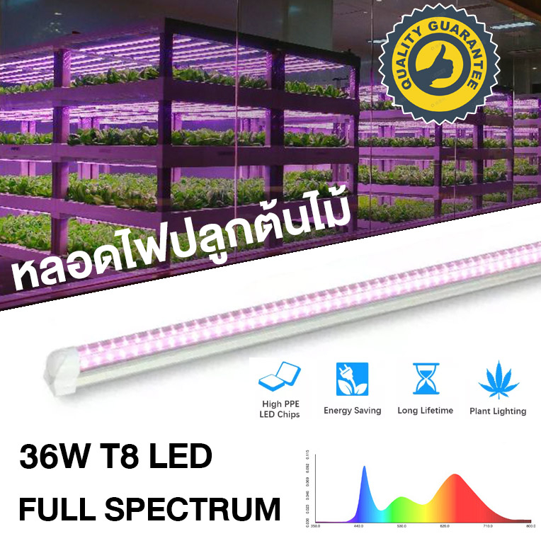 GrowSmart ชุดหลอดไฟ LED T8 grow light 36W full spectrum 120cm ไฟปลูกต้นไม้ ไฟเพาะต้นอ่อน clone LED l