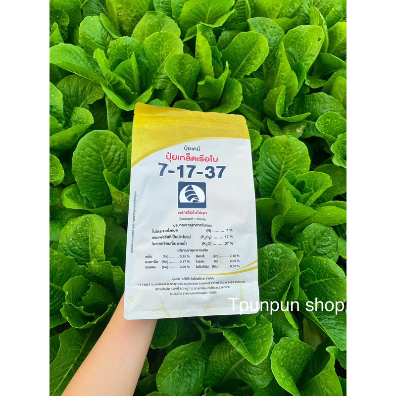 ปุ๋ยเกล็ด7-17-37เรือใบ1กก.🌱เร่งต้น ใบ ดอก ผล🌽เพิ่มผลผลิต
