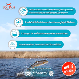 Dog Days อาหารสุนัขรสปลา (5.6 kg) Derma เกรด Holistic สูตรสำหรับแพ้ไก่โดยเฉพาะ โซเดียมต่ำ