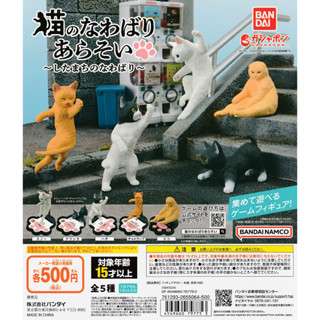 Gashapon Bandai Animal Cats Territorial Rivalry Territory of the City - กาชาปอง บันได แมว การแข่งขันในดินแดน เขตเมือง