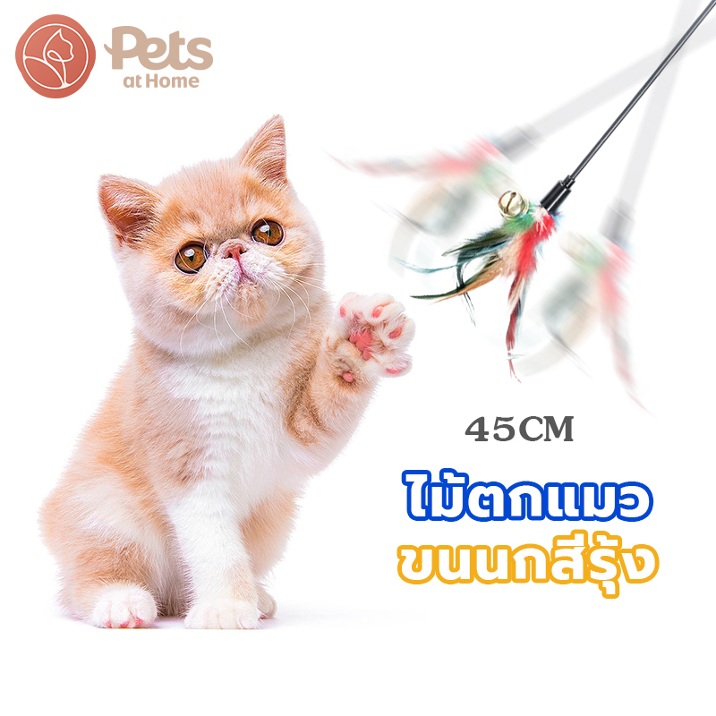 ซื้อ ไม้ตกแมว ไม้แมว ไม่ล่อแมว สำหรับแมว ไม้ตกแมว แมว ของเล่นสำหรับแมว ของสัตว์เลี้ยง ของเล่นแมว รุ่น ขนนกหลายสี มีกระดิ่ง