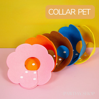 🌸 Collar pet 🌸 คอลล่าสัตว์เลี้ยง