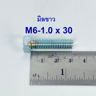 สกรูมิลขาวเกลียวตลอด ปะแจเบอร์10 ขนาด M6-1.0 x 30 (บรรจุ 100 ตัว)