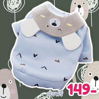 ชุดน้องหมาและแมว หมีปกเทา (ไซส์ระบุในแชท)