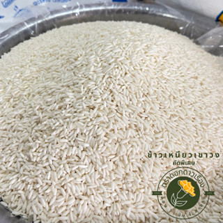 ข้าวเหนียวเขาวง [คัดพิเศษ] อ่อน นุ่ม สะอาด (บรรจุ 1ถัง 15กก.) ข้าวใหม่ ตราดอกดาวเรือง