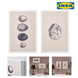 IKEA กรอบรูป BJÖRNAMO บยอร์นาโม ภาพศิลปะพิมพ์บนไม้, ไข่, 20x30 ซม.  499บาท/2 ชิ้น กรอบรูปภาพอิเกียแท้ จัดส่งไว