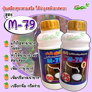 ยาทาหน้ายาง M-79 #50 สารเร่งน้ำยาง เพิ่มน้ำยาง สารบำรุงหน้ายาง  ตราเงาะป่าห้าดาว ขนาด 500 ซีซี น้ำยางไหลสม่ำเสมอ