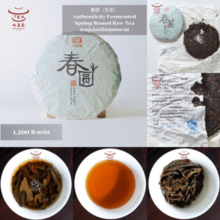 ส่งฟรี ชาแผ่น ชาจีน ชาจีนเพื่อสุขภาพ ชาผู่เอ่อร์ดิบชุนหยวน Authenticity Fermented Spring Round Raw Tea 春圆（生茶