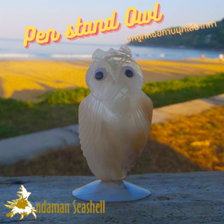 Andaman seashell นกฮูก หอยกาบมุก ใส่การ์ด