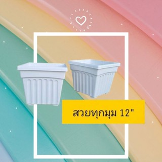 กระถางต้นไม้เหลี่ยม 12 นิ้ว (แพค 6 ใบ)