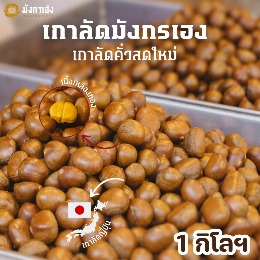 เกาลัดคั่ว เกาลัดญี่ปุ่น 500 กรัม - 2 กิโลกรัม มังกรเฮง คั่ว สุก สด ใหม่ น้ำตาลต่ำ ไขมันต่ำ
