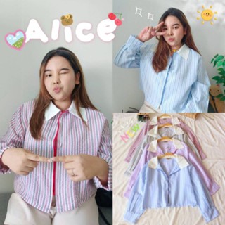 Jaiko Alice เสื้อครอปสาวอวบ แต่งซิป อก 38-46 งานเข้าใหม่ น่ารักมาภูก