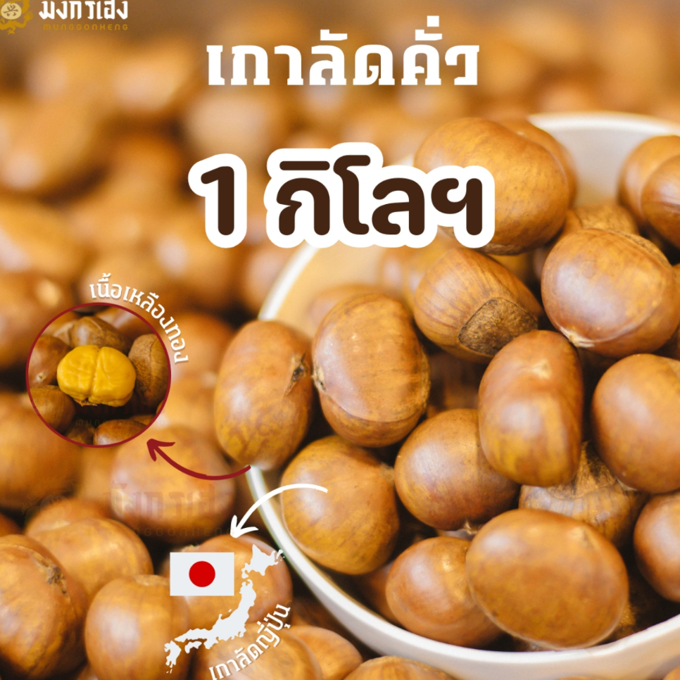 เกาลัดญี่ปุ่นคั่ว 1 กิโล มังกรเฮง คั่วสดใหม่ทุกออเดอร์ ออร์แกนิกธรรมชาติ แพ็คซีลสุญญากาศ พร้อมทาน