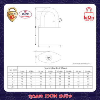 กุญแจสปริงเหล็กสีทอง ISON 25L มม. (งวงยาว) กันเลื่อย ระบบล็อคสปริง สามารถล็อคได้แม้ไม่ได้เสียบกุญแจ