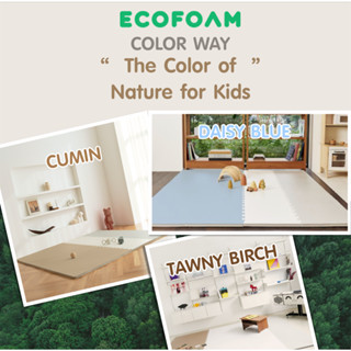 Ecofoam แผ่นรองคลาน แผ่นกันกระแทก