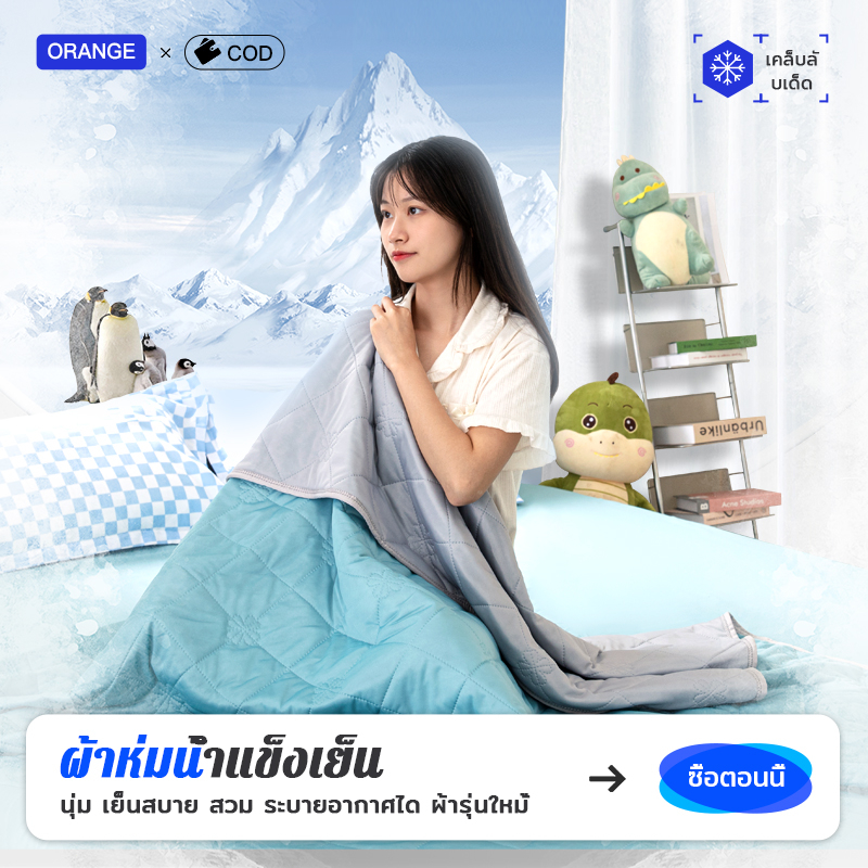 ผ้าห่มไหมน้ำแข็ง ผ้าห่มไอศกรีม blanket สีทึบสองด้าน อ่อนนุ่ม เย็น เนียน 5 ฟุต 6 ฟุต 6.5 ฟุต ผ้านวมฤด